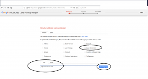 Local SEO RI Google Structured Data Markup